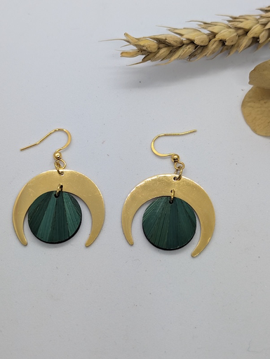 Nova vert